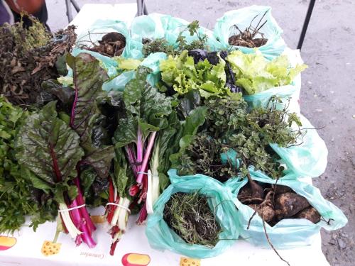 a bunch of vegetables in bags on a table at Agroturismo los Colihues in Castro