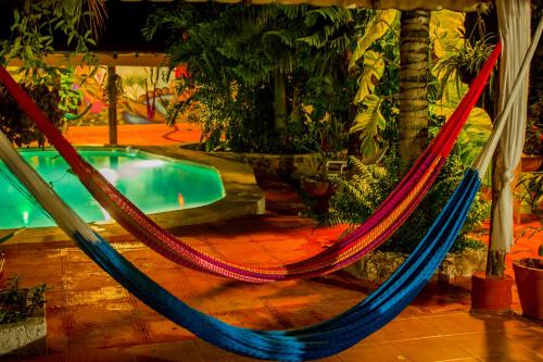 a group of hammocks in front of a pool at Casa De Los Pájaros - B&B in Valladolid
