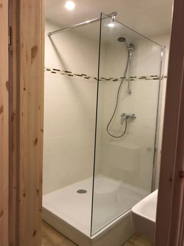 W łazience znajduje się prysznic ze szklanymi drzwiami. w obiekcie Albi S - HH Airport w mieście Hamburg