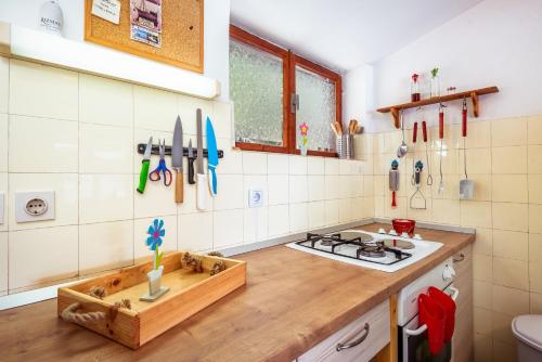 uma cozinha com um balcão e um fogão forno superior em Holiday Home Gluscevic em Klek