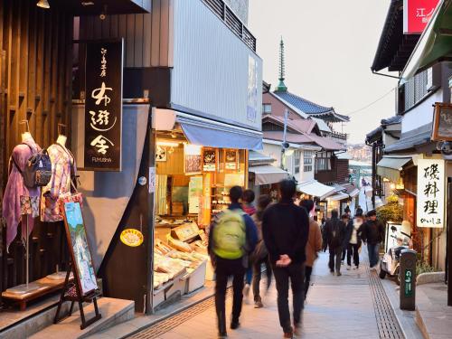 a group of people walking down a street with shops at Iwamotoro in Fujisawa