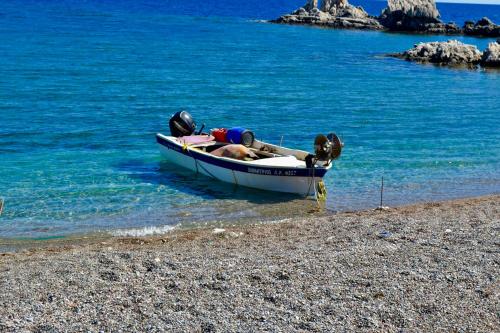 Φυσικό τοπίο κοντά σε αυτό το διαμέρισμα