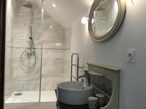 Un baño con ducha, lavabo y espejo. en La douceur Angevine, en Montreuil-Bellay