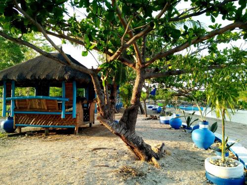a wooden bench with a straw hut next to a tree at Bolo Beach Santorini nearby to Hundred Island in Alaminos