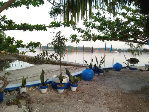 a row of potted plants next to a body of water at Bolo Beach Santorini nearby to Hundred Island in Alaminos
