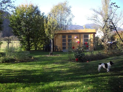 a black and white cat standing in front of a tiny house at Les Arts Verts in Kruth