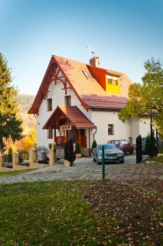 a house with cars parked in front of it at Willa Ostoja in Świeradów-Zdrój
