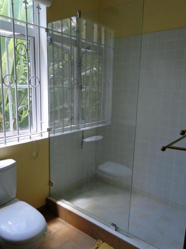 Baie du TombeauにあるVilla Sirandaneのガラス張りのシャワーとトイレ付きのバスルーム