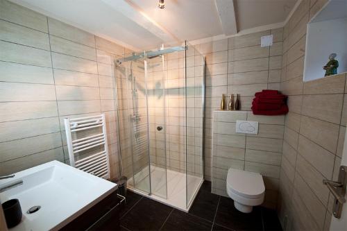 uma casa de banho com um chuveiro, um WC e um lavatório. em Les Arts Verts em Kruth
