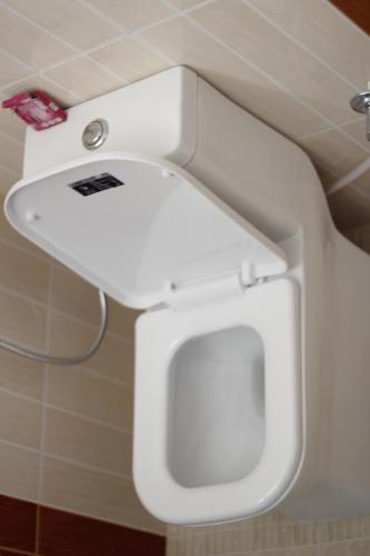 a white toilet in a bathroom with a sink at Hotel Adam in Pokhara