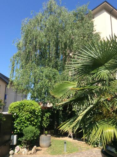 a large tree in a yard next to a building at Le Betulle in Zanica