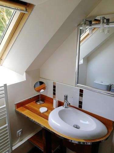 une salle de bain avec un lavabo et un miroir dans l'établissement Les longères de keridy, à Brech