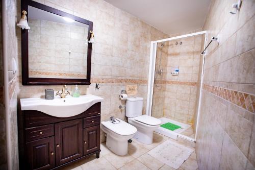 a bathroom with a sink and a toilet and a shower at Apartamentos Turísticos Mallos de Huesca in Ayerbe