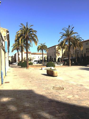 a street with palm trees and buildings in a city at Au Cœur des Remparts in Aigues-Mortes