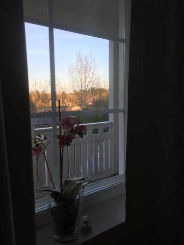 a vase with flowers sitting on a window sill at Villa Rhodo in Vantaa