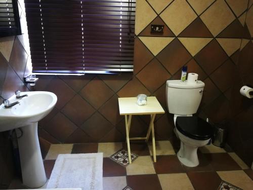 a bathroom with a toilet and a sink at Augrabies Falls Lodge & Camp in Augrabies