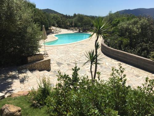 a swimming pool in a yard with a palm tree at Hotel Belvedere in Teulada