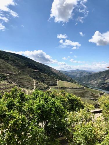 Paesaggio naturale nelle vicinanze dell'affittacamere