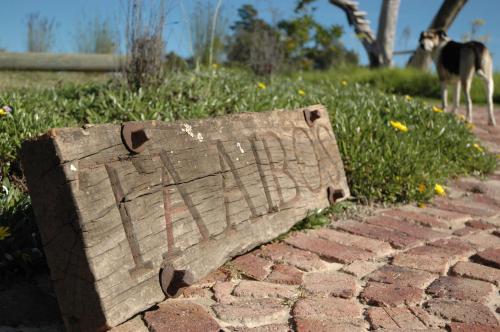 a stone sign on a brick path with a dog in the background at Forest Hills in Knysna