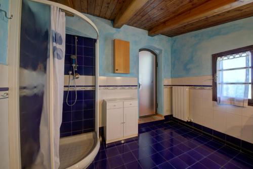 een badkamer met een douche, een wastafel en een bad bij Podere Lo Stringaio in Fauglia