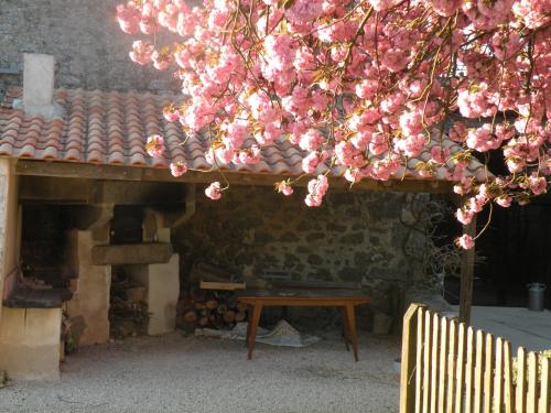 a tree with pink flowers in front of a brick oven at la raymondiere in Vernoux-en-Gâtine