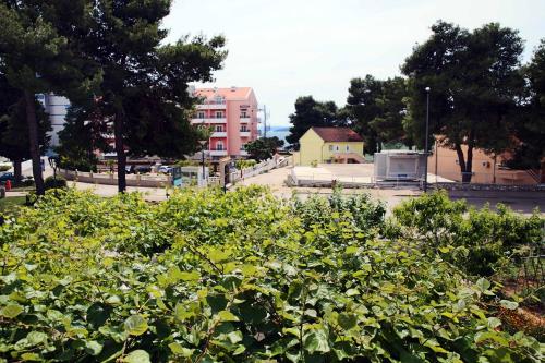 Gallery image of Apartments & Rooms Samohod in Vodice