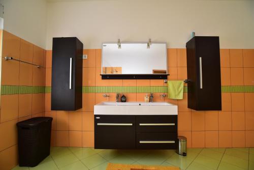 un bagno con lavandino e specchio di Ankin Dvor a Galovac
