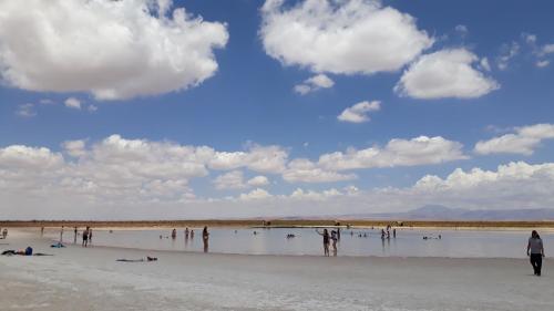 a group of people in the water on a beach at Cabaña Nachitor in San Pedro de Atacama