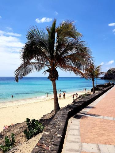 a palm tree on a beach with people on the beach at Your Ocean Suite in Costa Calma