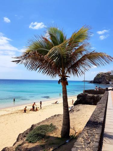 a palm tree on a beach with people on the beach at Your Ocean Suite in Costa Calma