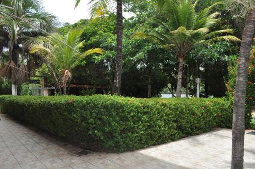 a hedge with palm trees in a park at Hotel Pousada Paraíso das Águas in Barreirinhas