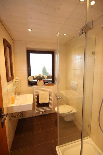 a bathroom with a shower and a toilet and a sink at Dreimäderlhaus - Das vegetarische Boutique Hotel in Füssen