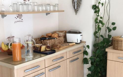 Kuchyň nebo kuchyňský kout v ubytování Pension am Schlossberg