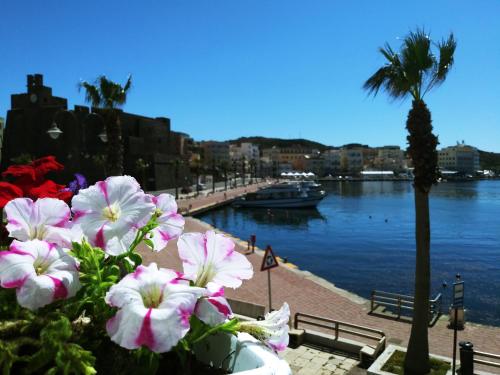 Un mazzo di fiori seduti accanto a un corpo d'acqua. di Blue Moon Hotel a Pantelleria