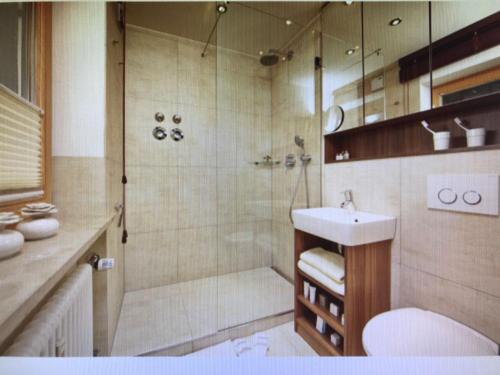 une salle de bain avec douche et lavabo dans l'établissement Evergreen Chalet, à Garmisch-Partenkirchen