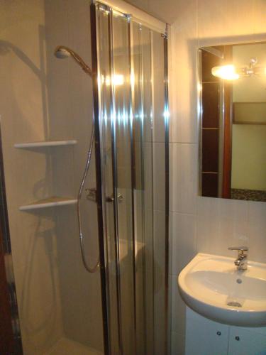 a bathroom with a shower and a sink at U Reginy in Jastrzębia Góra