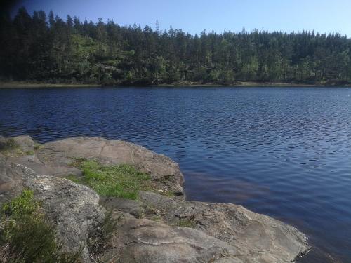a large body of water with trees in the background at Hagen in Vennesla
