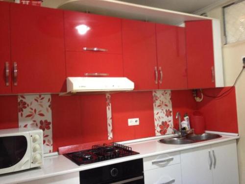 Η κουζίνα ή μικρή κουζίνα στο Apartment on Melashvili 24 (Old Batumi)