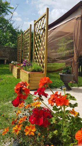 a group of flowers in a garden with a fence at San Paterno B&B in Rapolano Terme