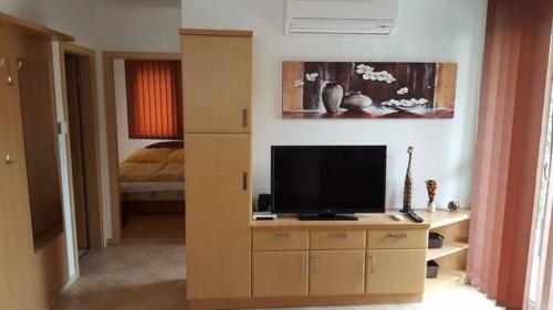 Televízia a/alebo spoločenská miestnosť v ubytovaní Gina apartman Siófok