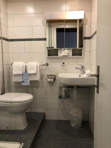 a bathroom with a toilet and a sink at Post Hardermannli in Interlaken
