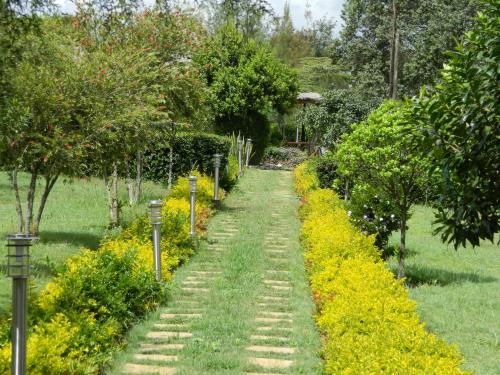 Taman di luar Lalanasi Lodge & Tented Camp