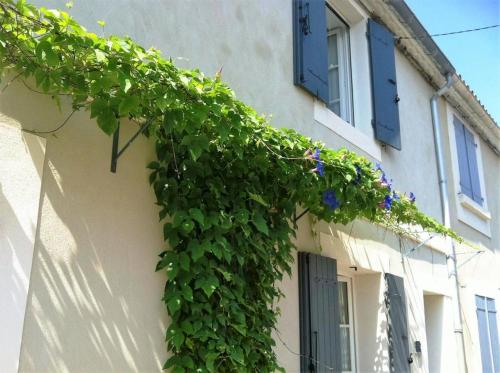 a building with green ivy growing on the side of it at Au Cœur des Remparts in Aigues-Mortes