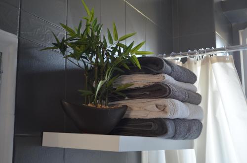 a stack of towels in a bathroom with a plant at La douceur de Cassis in Cassis