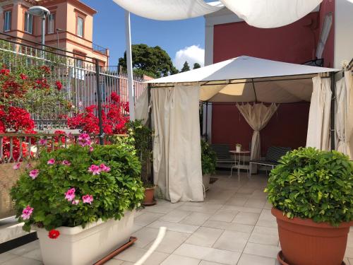 Κήπος έξω από το Golden Mile B&B