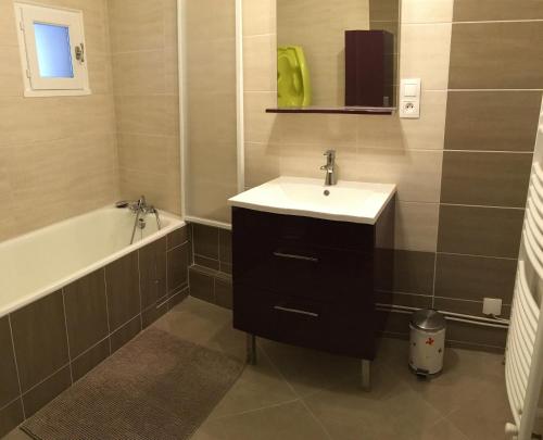 une salle de bain avec un lavabo et une baignoire dans l'établissement Côté chateau, à Carcassonne