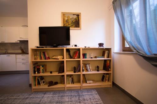 TV a/nebo společenská místnost v ubytování Apartment Lucia