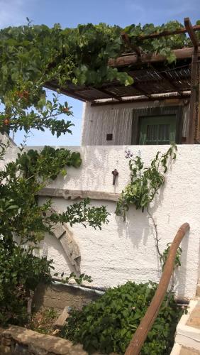 two pictures of a building with a tree at PATMOS Mathios Studios- apartments in Patmos