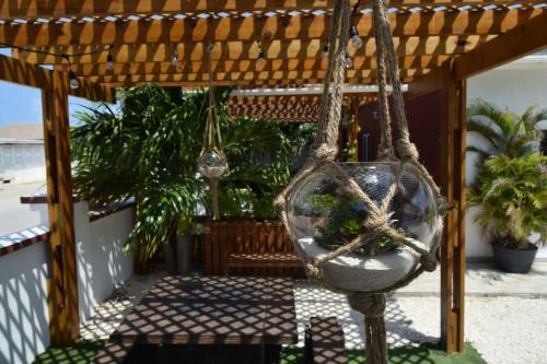 a hanging planter with plants in it on a patio at Ladybugs Apartments in Palm-Eagle Beach