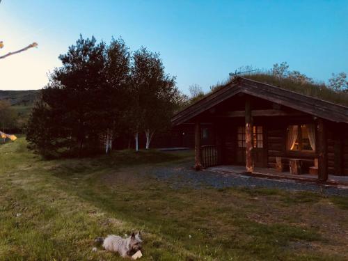 a dog laying in the grass in front of a cabin at Log home village in Ulverston